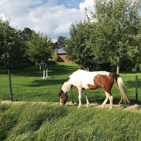 Gutshof Schulze-Althoff Guest House Schoeppingen Bagian luar foto