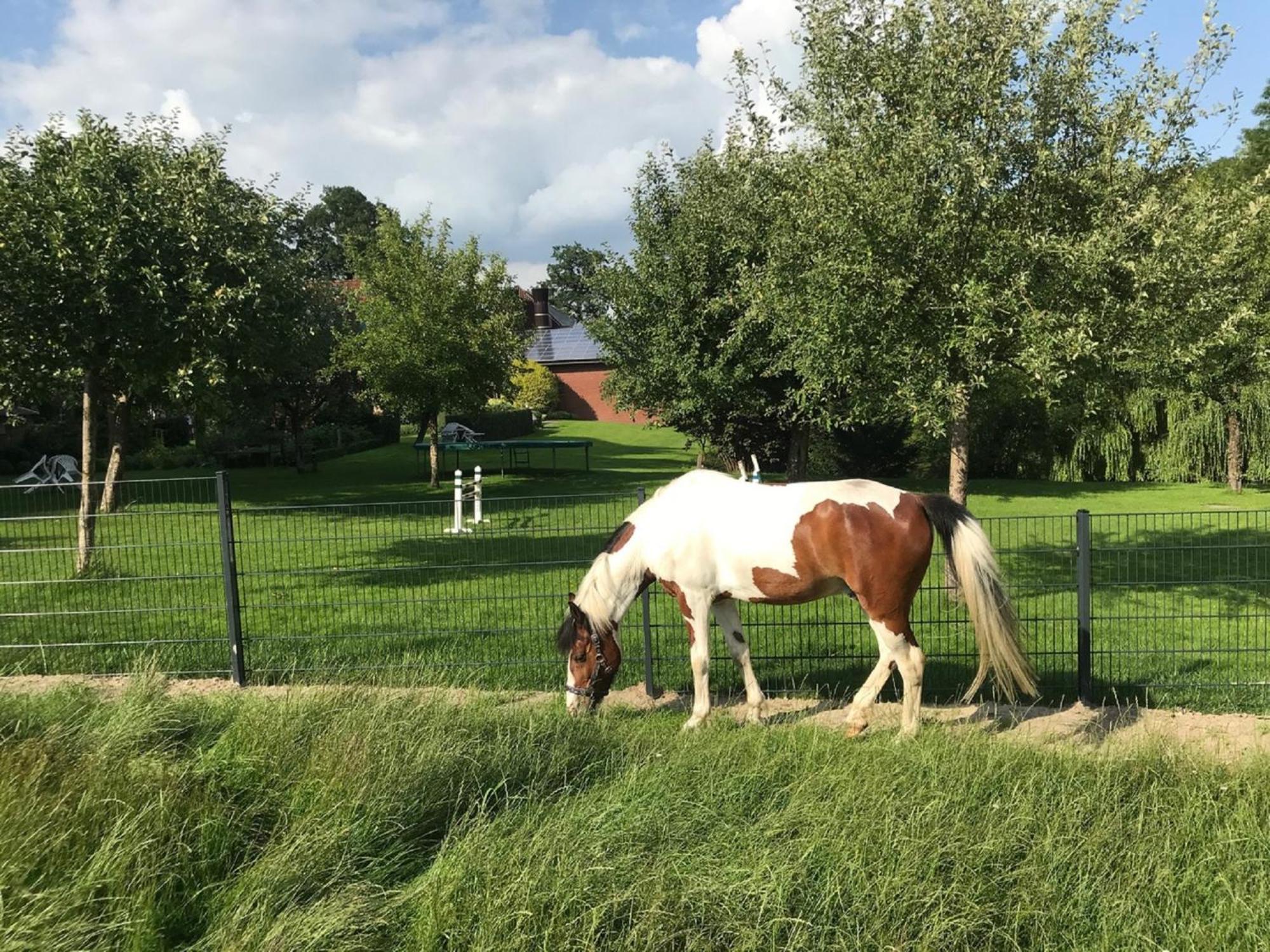 Gutshof Schulze-Althoff Guest House Schoeppingen Bagian luar foto